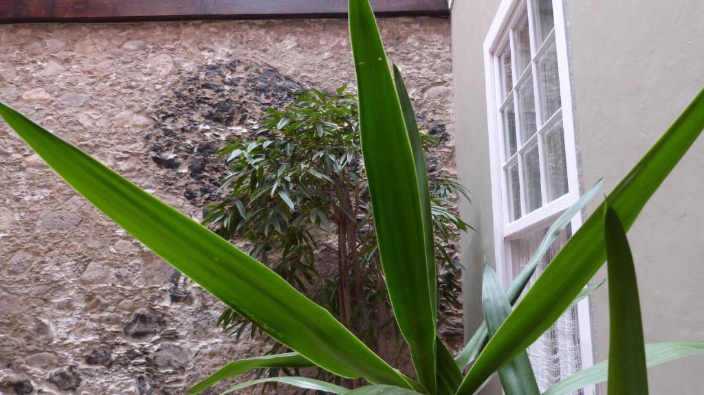 Apartamento La Casa de Vegueta Las Palmas de Gran Canaria Exterior foto