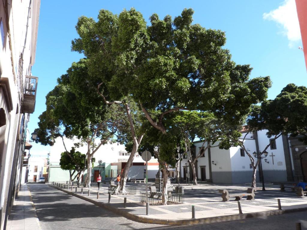 Apartamento La Casa de Vegueta Las Palmas de Gran Canaria Exterior foto